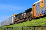 NS 4118 on 18N